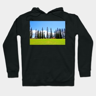 Lanai City Study 7 Hoodie